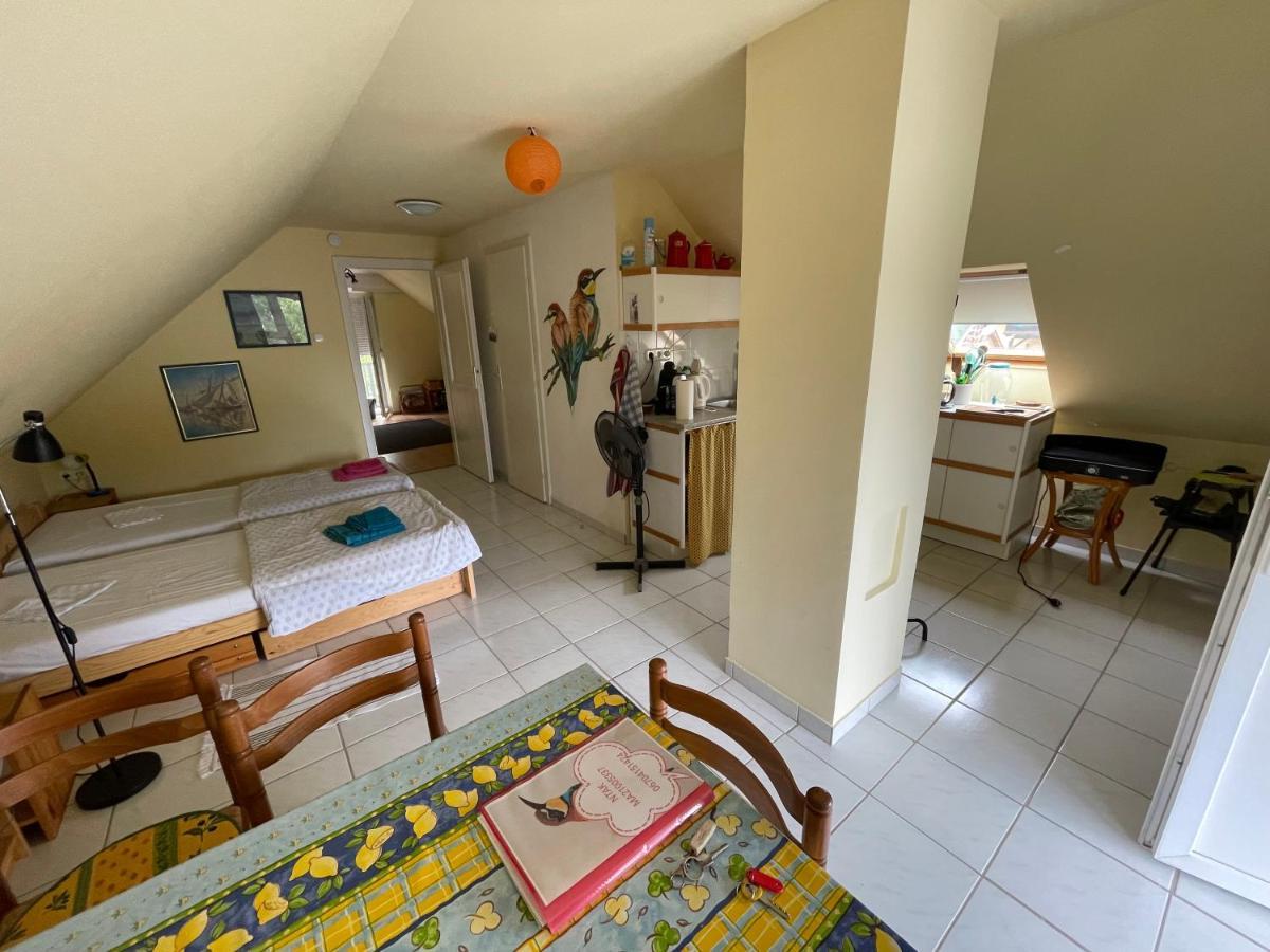 Thefi Vendeghaz Apartment ซานกา ภายนอก รูปภาพ